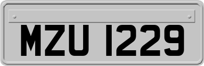 MZU1229