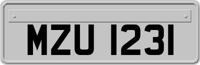 MZU1231