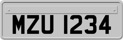 MZU1234