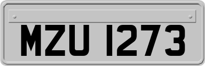 MZU1273