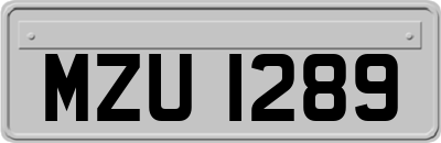 MZU1289