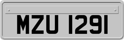 MZU1291