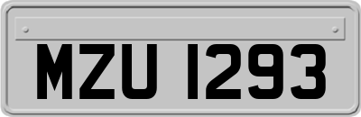 MZU1293