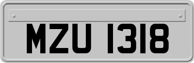 MZU1318
