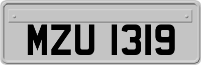 MZU1319