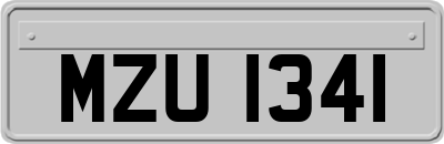 MZU1341