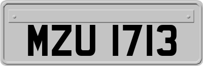 MZU1713