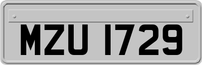 MZU1729