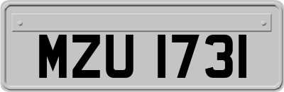 MZU1731