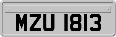 MZU1813