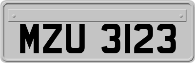 MZU3123