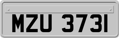 MZU3731