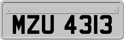 MZU4313