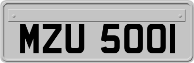 MZU5001