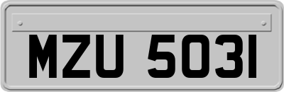 MZU5031