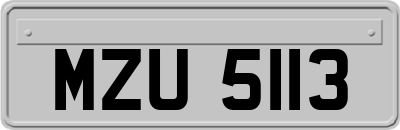 MZU5113