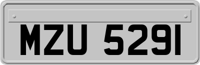 MZU5291