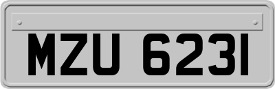 MZU6231