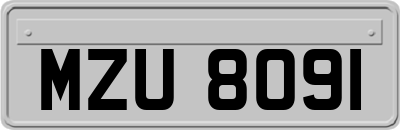 MZU8091