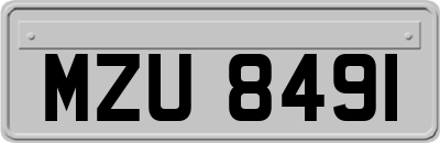 MZU8491