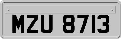 MZU8713