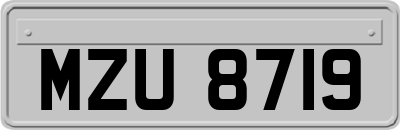 MZU8719