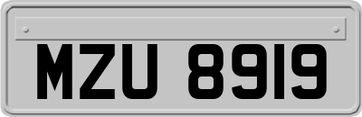 MZU8919