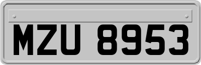 MZU8953