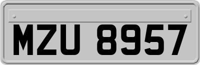 MZU8957