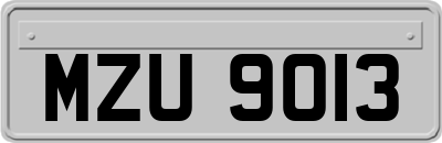 MZU9013