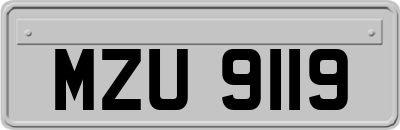 MZU9119