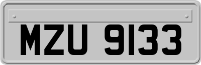 MZU9133