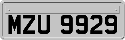 MZU9929