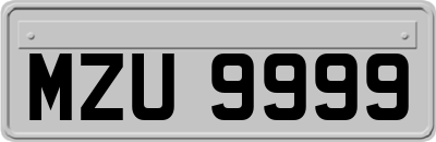 MZU9999