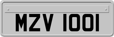 MZV1001