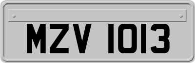 MZV1013