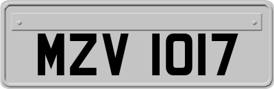 MZV1017