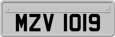 MZV1019