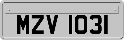 MZV1031