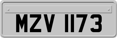 MZV1173