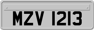 MZV1213