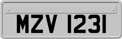 MZV1231