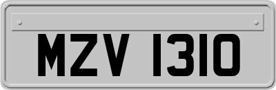 MZV1310