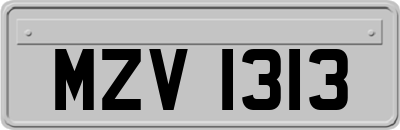 MZV1313