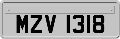 MZV1318