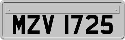 MZV1725