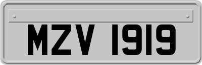 MZV1919