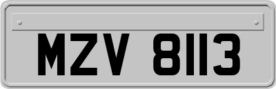 MZV8113