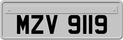 MZV9119