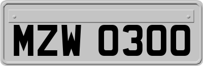 MZW0300